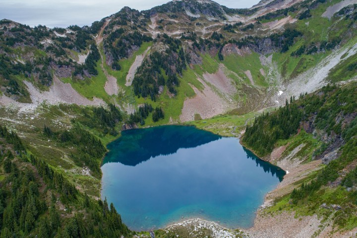 a close up of a hillside next to water